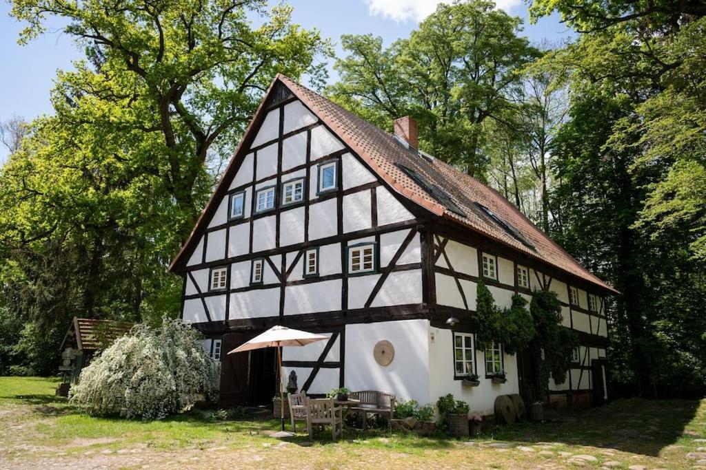 Wassermuehle Triglitz - Alleinlage Fuer Retreats, Workshops, Family & Friends Экстерьер фото