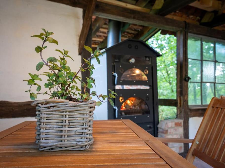 Wassermuehle Triglitz - Alleinlage Fuer Retreats, Workshops, Family & Friends Экстерьер фото